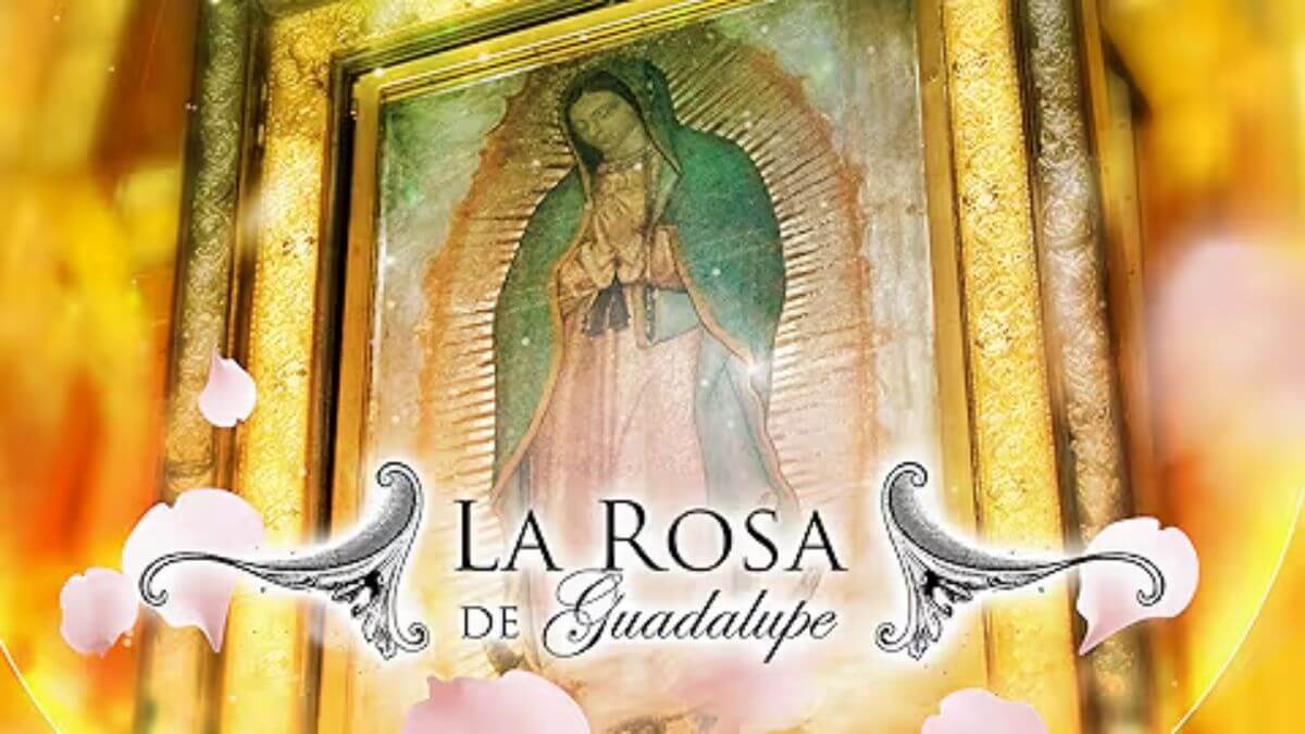 La Rosa de Guadalupe